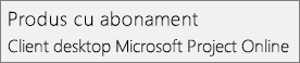 Captură de ecran cu numele Produs cu abonament: Clientul desktop Microsoft Project Online, așa cum apare în Fișier > secțiunea Cont din proiect.