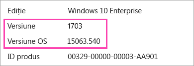 Captură de ecran a care afișează numerele de versiune și construirea de Windows
