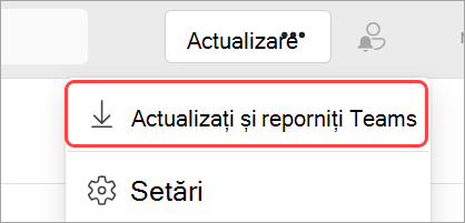 Imagine cu meniul vertical "Setări și altele" cu "Actualizați și reporniți Teams" evidențiat.