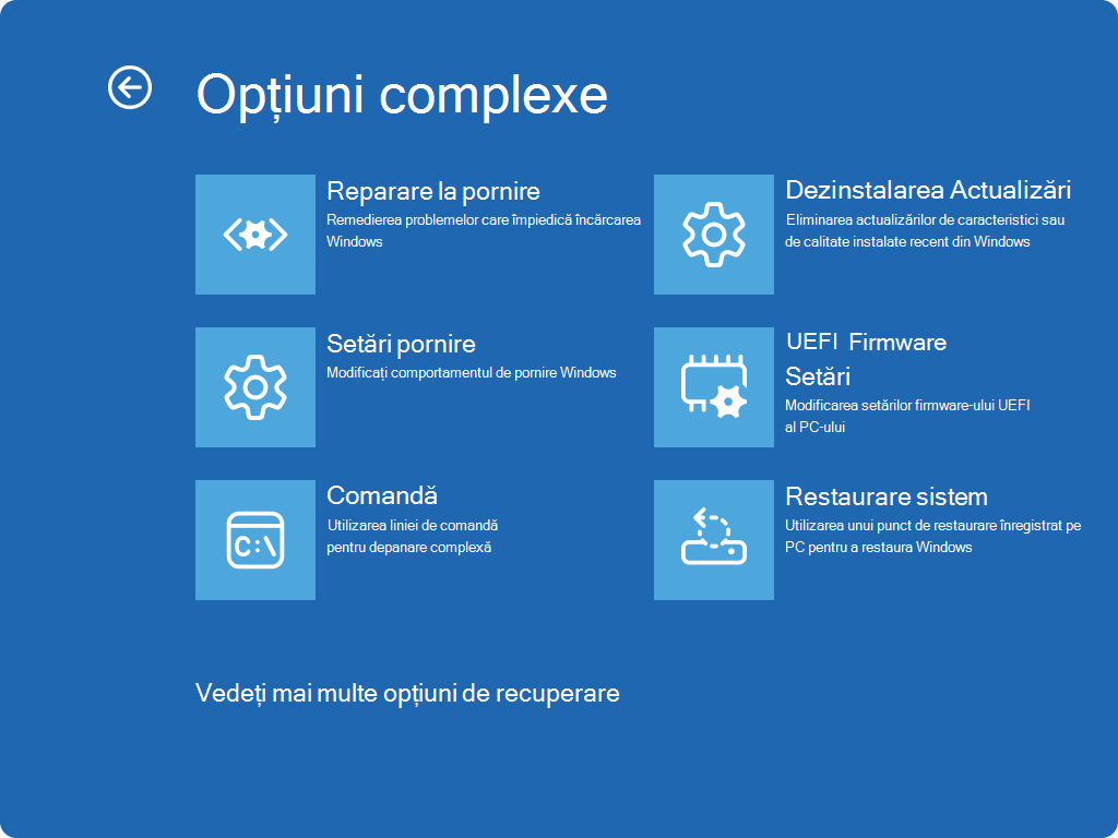 Captură de ecran cu Windows RE - ecranul Opțiuni complexe.