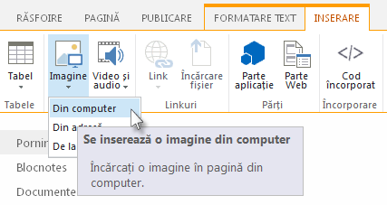Opțiunea de inserare a unei imagini de pe computer