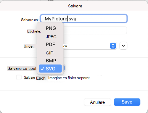 Caseta de dialog Salvare ca Outlook 2021 pentru Mac cu opțiunea SVG selectată