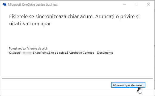 Caseta de dialog sincronizare OneDrive pentru Business afișează butonul fișiere mele evidențiat.