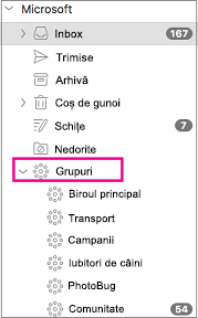 Grupuri listate în panoul de foldere din Outlook 2016 pentru Mac