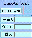 Exemplu de control ActiveX Casetă text