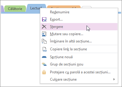 Screenshot of how to delete a section in OneNote 2016.
