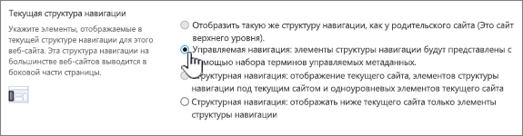 Текущий раздел навигации с выбранной управляемой навигацией