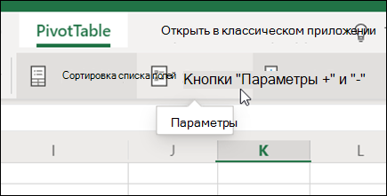 Кнопка "Параметры" на вкладке "Сводная таблица" в Excel в Интернете