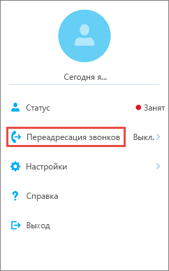 Параметр переададки вызовов домашнего экрана в Skype для бизнеса для iOS