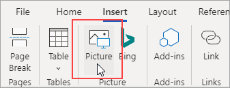 На вкладке Вставка нажмите кнопку Рисунок, чтобы добавить рисунок из файлов на компьютере.