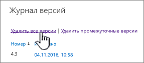 Диалоговое окно "Версия" с выделенной командой "Удалить все версии"