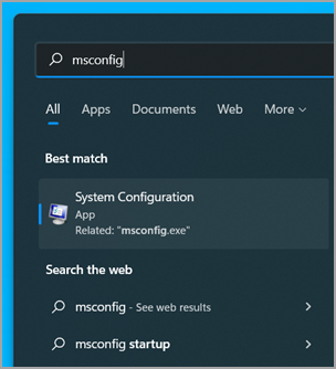 Vyhľadávacie pole v Windows 11.