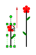 Zvýšenie tvaru Rastúci kvet zvislým natiahnutím.