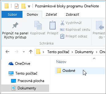 Snímka obrazovky s priečinkom Dokumenty Windowsu so zobrazeným priečinkom onenotového poznámkového bloku.