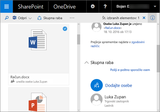 Posnetek zaslona podokna s podrobnostmi v storitvi OneDrive za podjetja v strežniku SharePoint Server 2016 s paketom funkcij 1