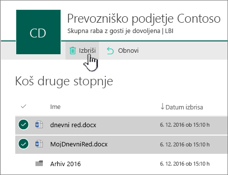 Koš na 2. ravni v storitvi SharePoint Online z označenim gumbom za brisanje