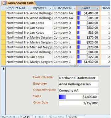displays data bars in a split form view