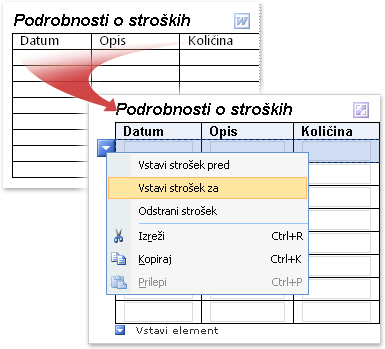Wordova tabela, ki je bila pretvorjena v InfoPathovo ponavljajočo se tabelo