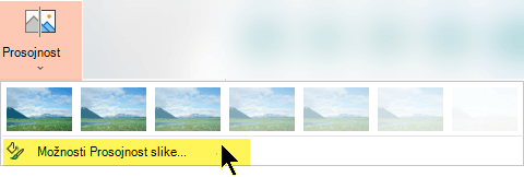 Picture Transparency Options let you choose a custom level of opacity for a picture