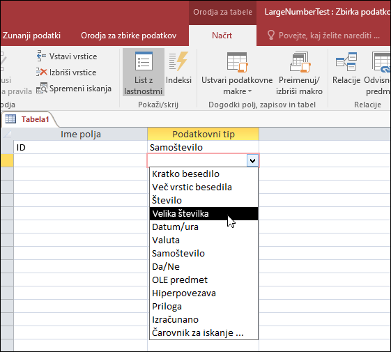 Posnetek zaslona seznama podatkovnih tipov v Accessovi tabeli. Izbrana je velika številka.