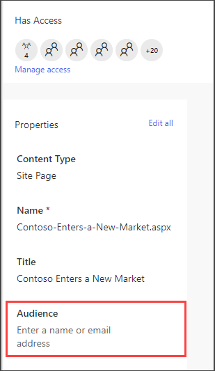 Pages detail pane with option to enter an audience