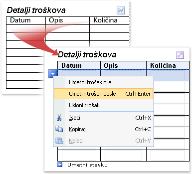 Word tabela koja je konvertovana u InfoPath ponavljajuću tabelu