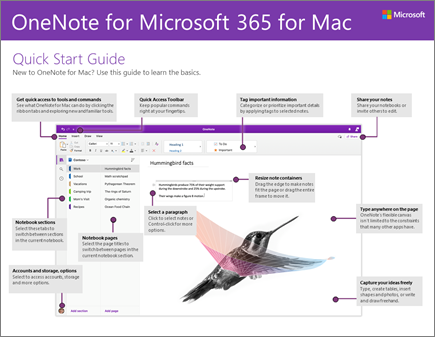 OneNote 2016 for Mac Quick Start Guide