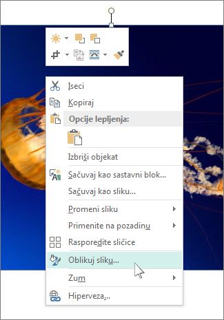 Snimak ekrana opcija „Oblikovanje slike“ u programu Publisher.