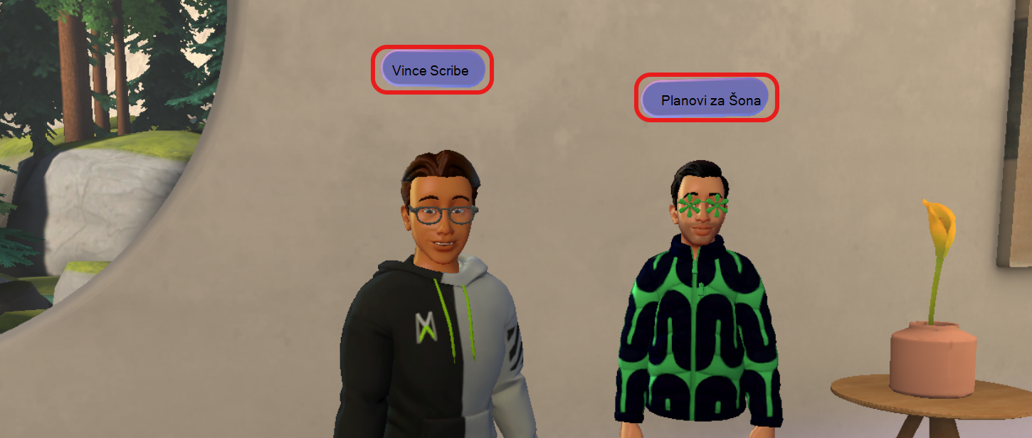 Screenshot showing name tags displayed above avatars