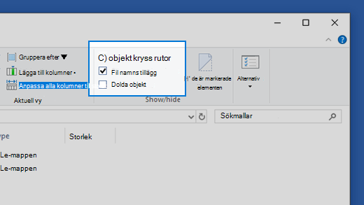 Hur visning av filnamnstillägg aktiveras i Windows