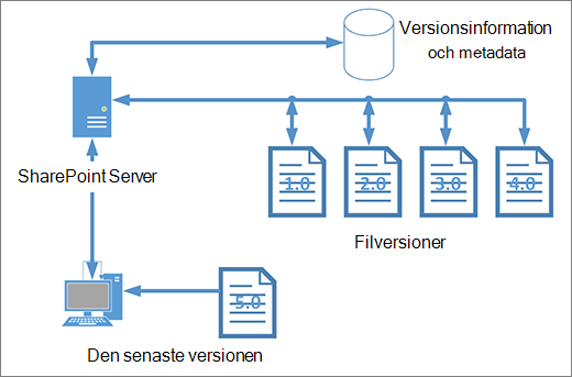 Diagram över lagring av versionshantering
