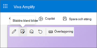 Skärmbild av ikonen Bläddra bland bilder i verktygsfältet.