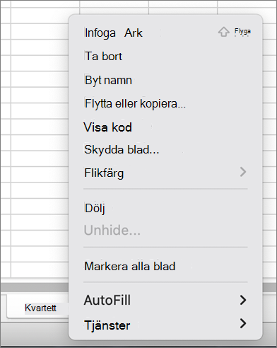 Menyn Skydda arbetsbok inte tillgänglig i MacOS