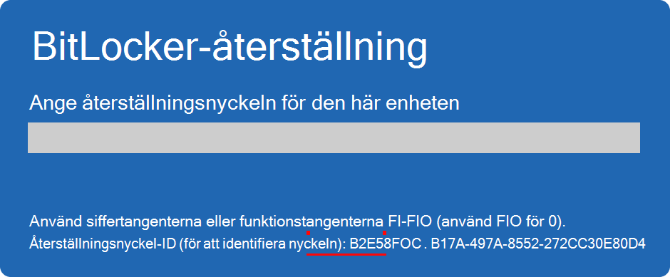 Skärmbild av BitLocker-återställningsskärmen med nyckel-ID:et markerat.