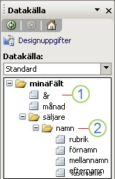 Åtgärdsfönstret Datakälla i InfoPath
