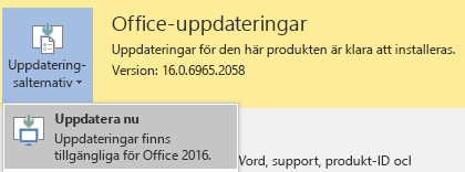 Klicka på Uppdateringsalternativ och sedan på Uppdatera nu för att få den senaste versionen av Office 2016.