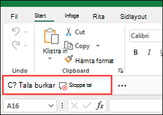talkommandon i verktygsfältet Snabbåtkomst i Excel