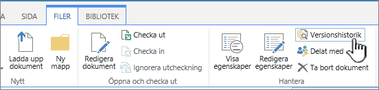 Fliken Arkiv med Versionshistorik markerad
