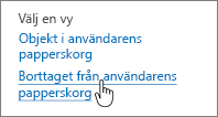 SharePoint 2013 papperskorg med Ta bort från användaren markerat