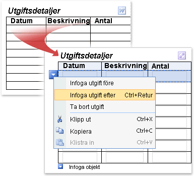 En Word-tabell som har konverterats till en upprepande tabell i InfoPath