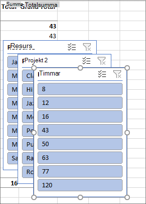 Utsnittsfilter på ett kalkylblad i Excel.