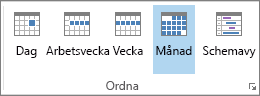 Gruppen Ordna på fliken Start: dag, vecka, arbetsvecka, månad och schema