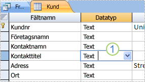 Kontrollera datatypen för kopplingsfältet när tabellen visas i designvyn