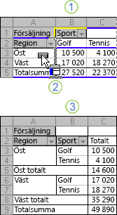 Exempel på ändring av layouten för en pivottabellrapport