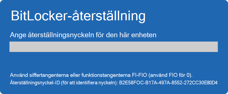 Skärmbild av BitLocker-återställningsskärmen.