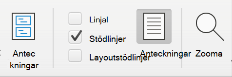 Skärmbild av kryssrutan Stödlinjer under fliken Visa i Microsoft PowerPoint.