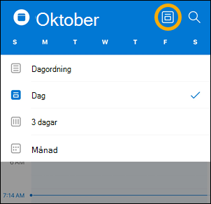 Knappalternativ för kalendervyn i iOS