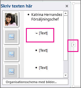 Textfönster med SmartArt-grafik med [Text] och kontroll för textfönstret markerat