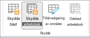 Skydda arbetsbok markerat