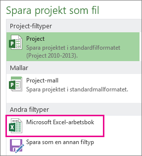 Spara Project-fil som Microsoft Excel-arbetsbok